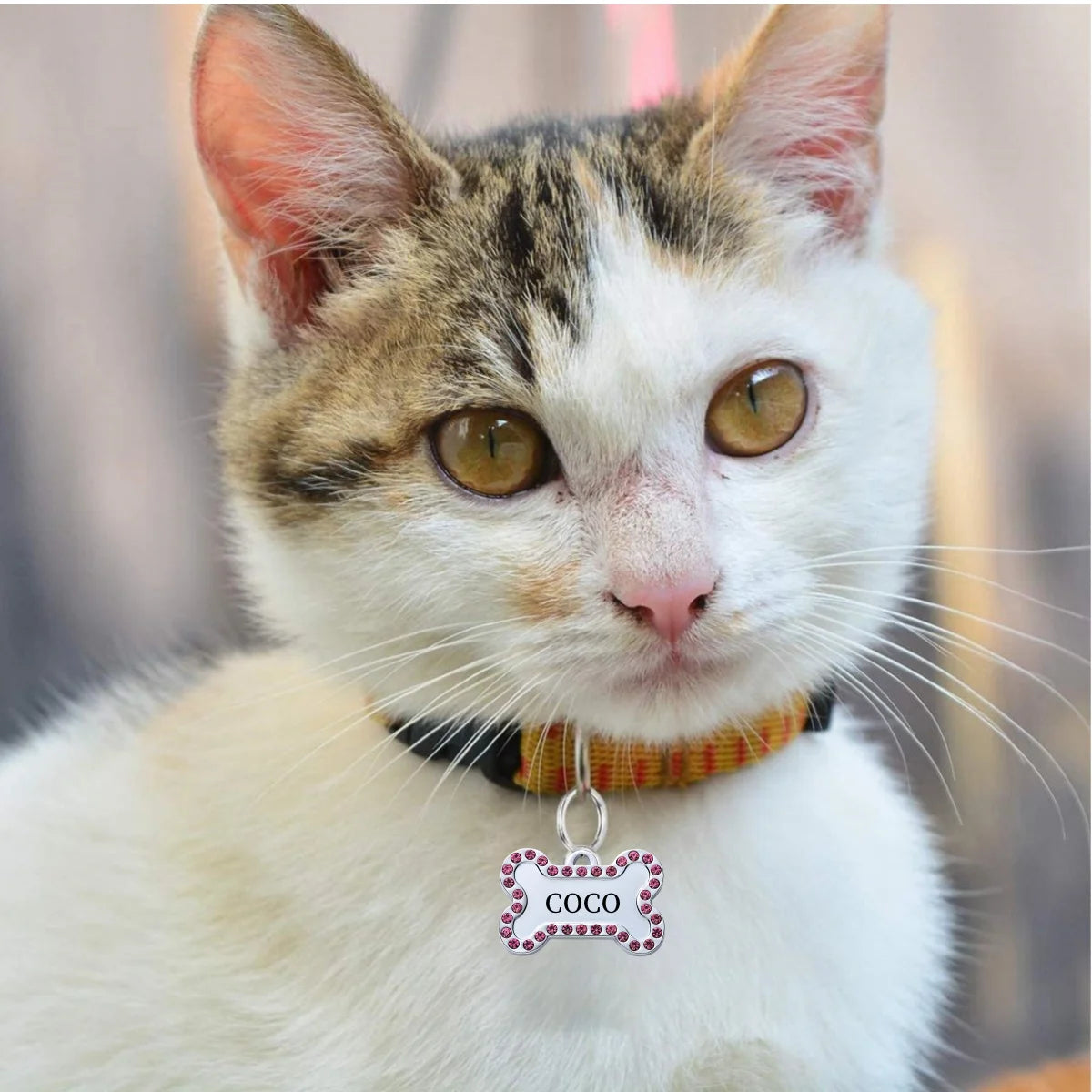 VIP Customizable Engraved Pets ID Tag for Dog Cat Bronze Nameplate Tags Personalized Address Number Dogs Collar ID Pendant